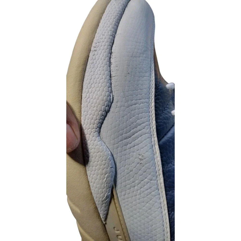 Air Jordan 12 Retro 
